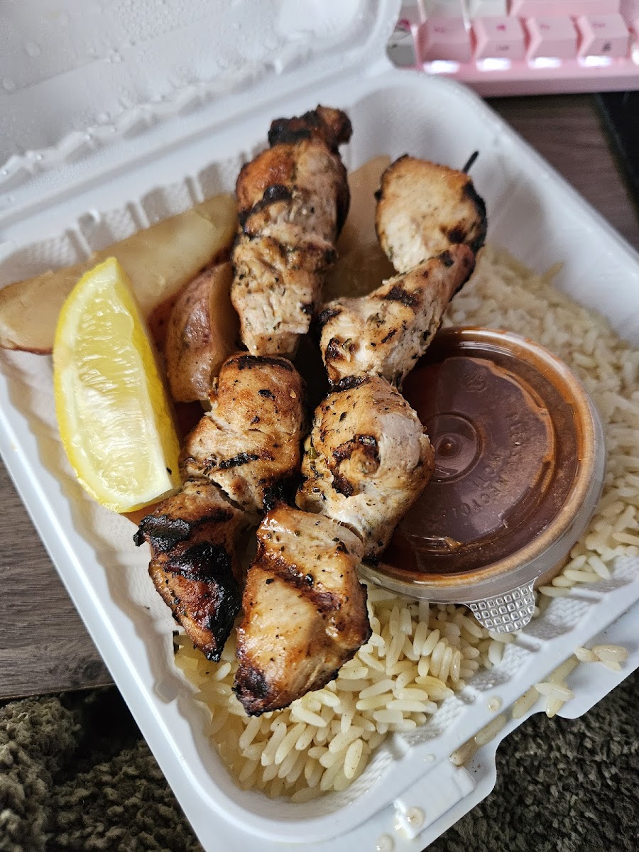 The Greek Souvlaki House